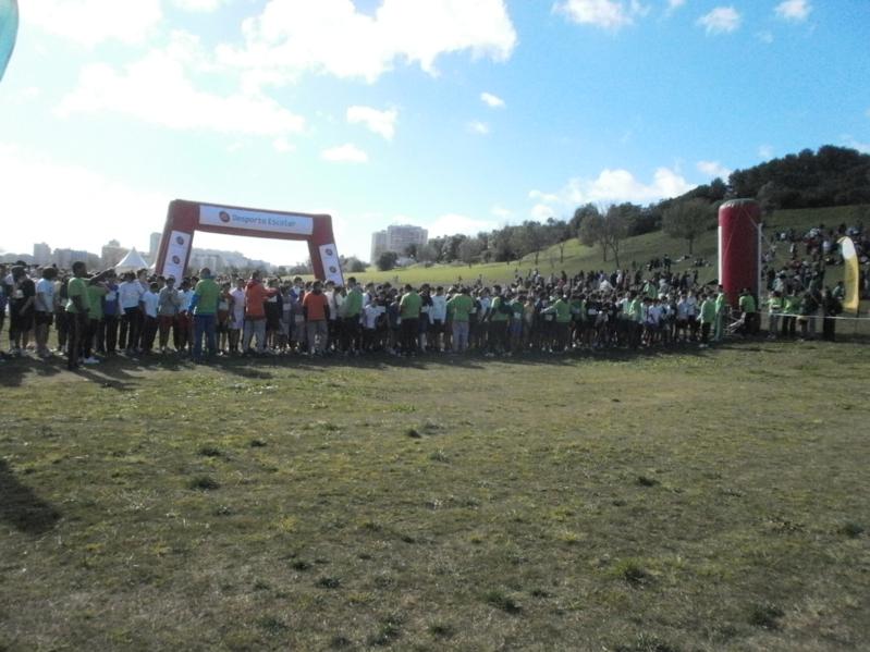 Corta-Mato Bela-vista201308022013_037_799x599