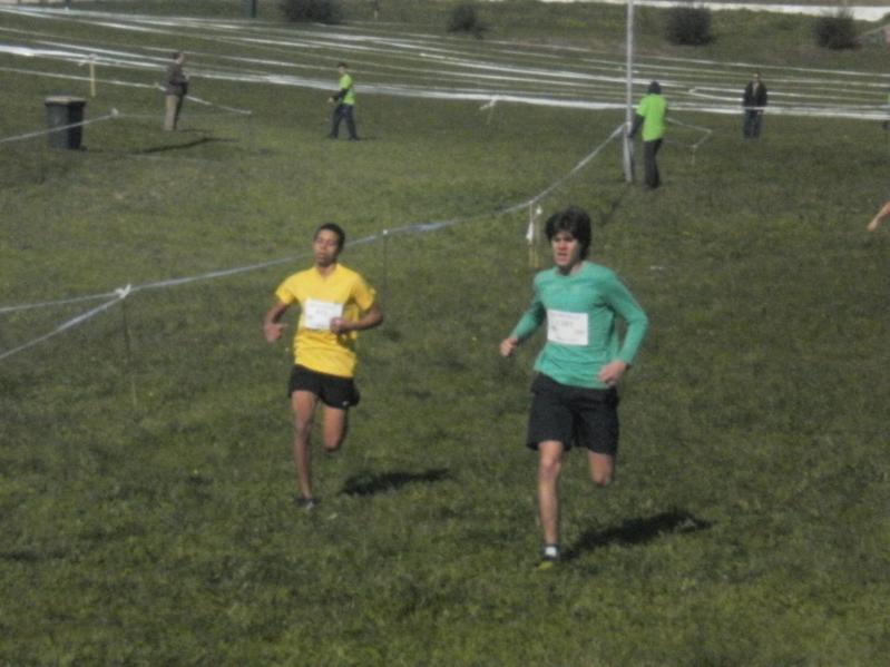 Corta-Mato Bela-vista201308022013_042_799x599