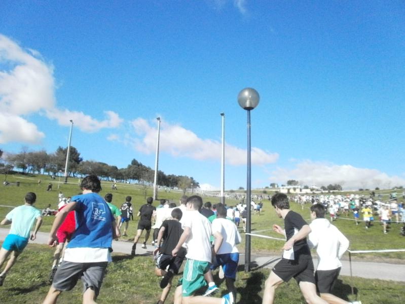 Corta-Mato Bela-vista201308022013_058_799x599