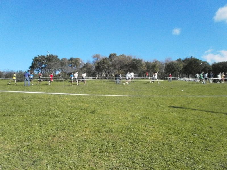 Corta-Mato Bela-vista201308022013_059_799x599